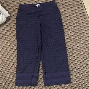 Isaac Mizrahi Navy Circle Pattern Pants